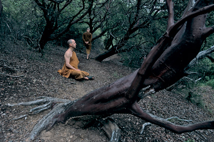 Steve McCurry13.jpg