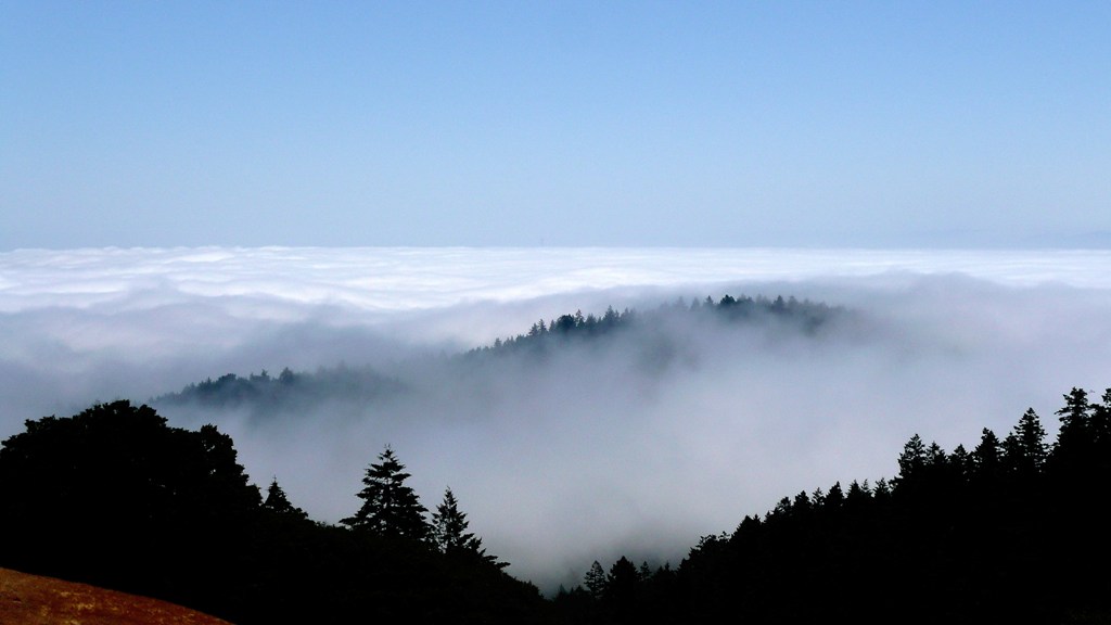 mt.tamalpais1.jpg