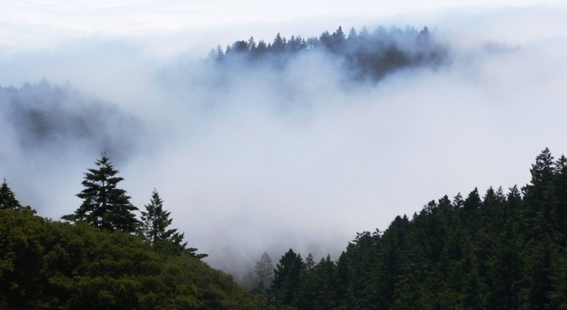 mt.tamalpais2.jpg