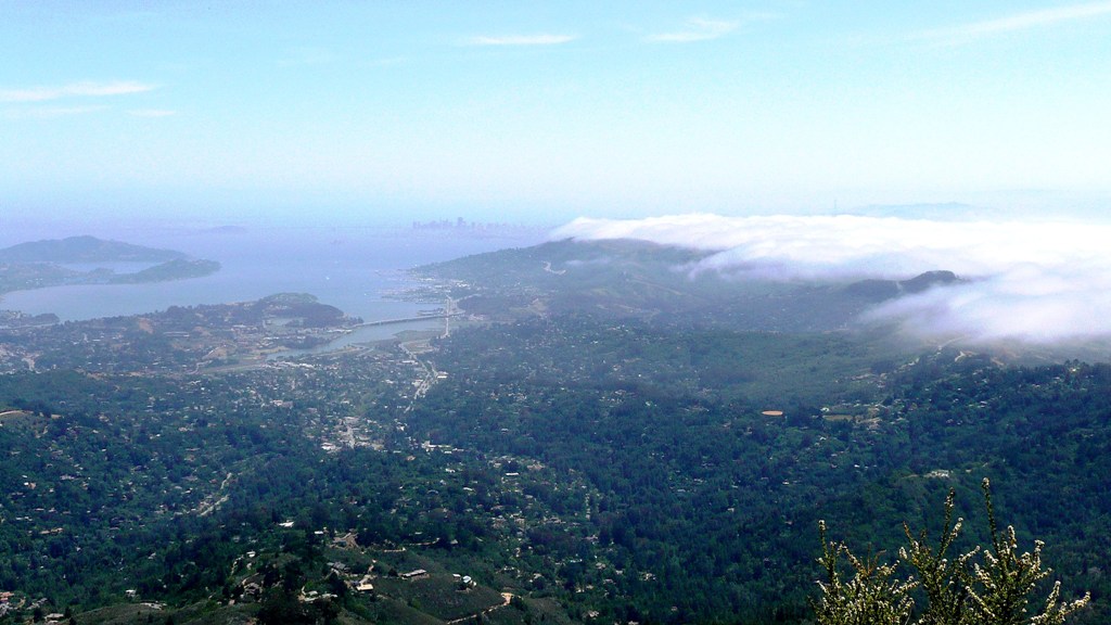 mt.tamalpais3.jpg